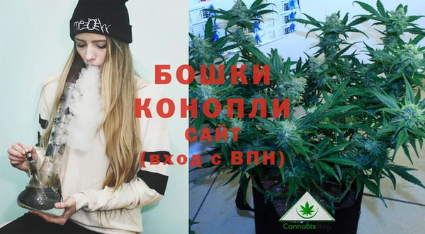 не бодяженный Бородино