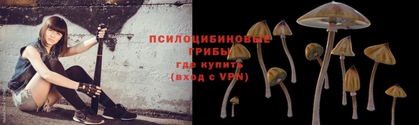 бошки Бугульма