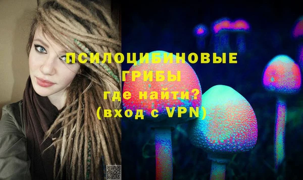 не бодяженный Бородино