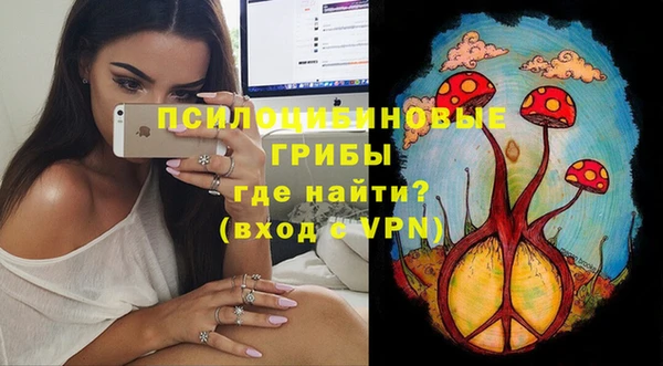 дмт Бронницы